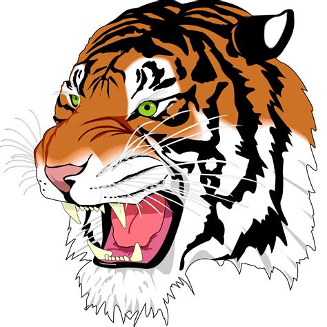 free tiger svg download
