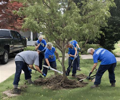 free tree removal service new mexico