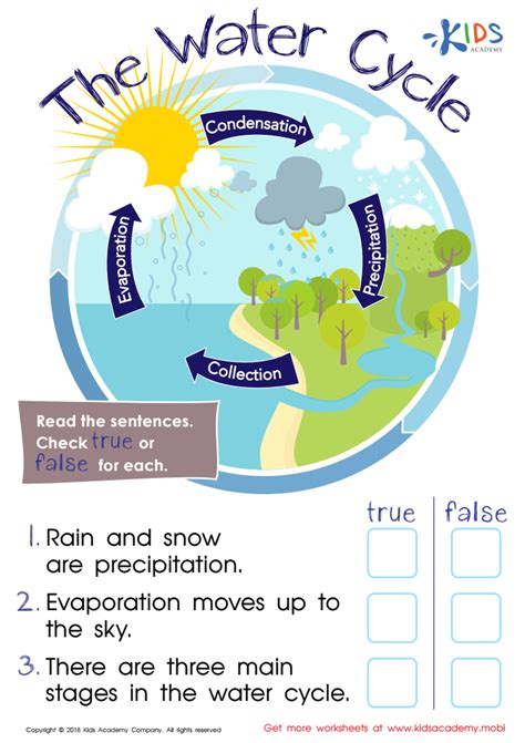 free water cycle worksheets for 2nd grade