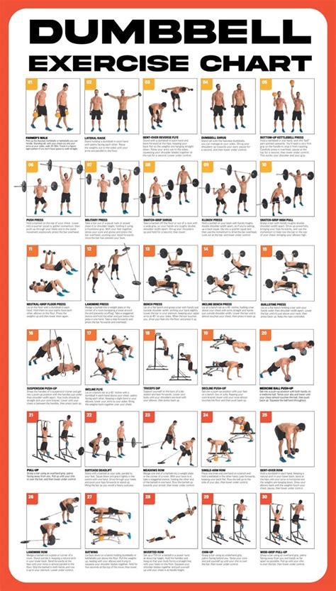 Free Weight Exercises Printable
