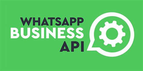 free whatsapp business api provider