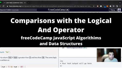 freecodecamp javascript tutorial logical programs