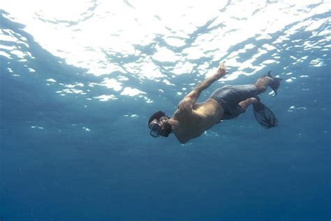 Freediving Jobs