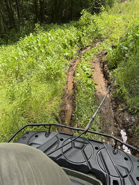 freedom fiber outage