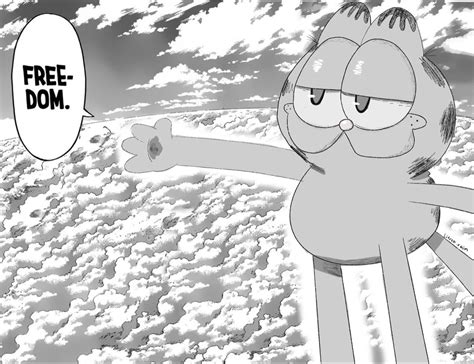 Freedom Vs Garfield