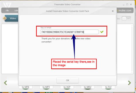 freemake video converter activation key