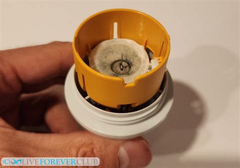 freestyle libre 3 needle size