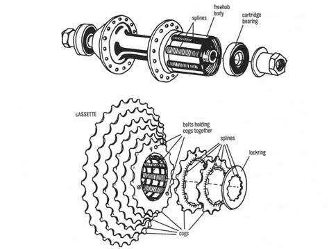 Freewheel Hub Assembly