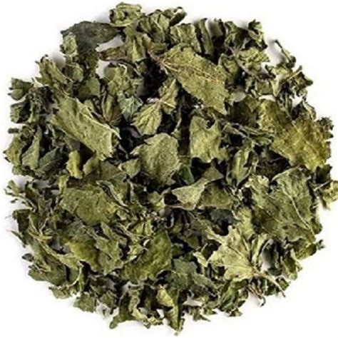 freeze dried nettle