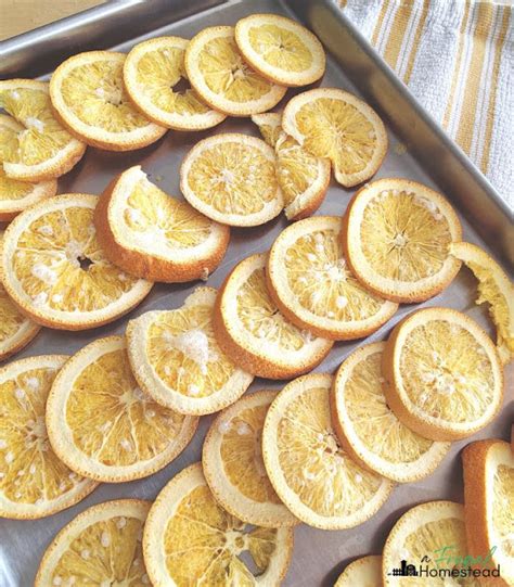 freeze dried oranges