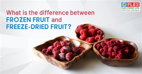 Freeze Dried Vs Frozen