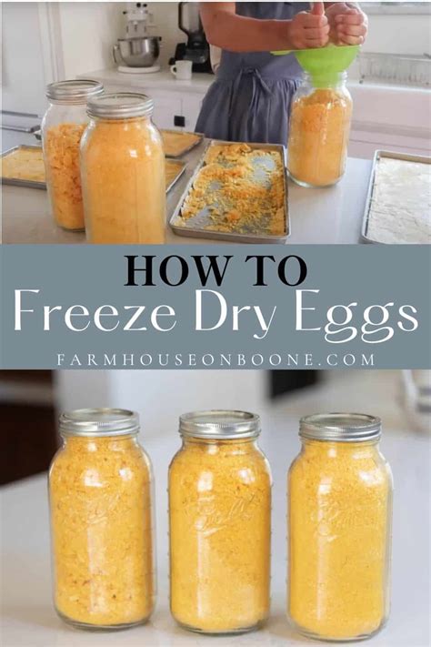 Freeze Dry Egg