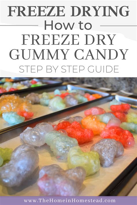 freeze drying gummies