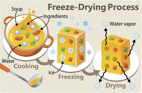 Freeze Drying How Does It Work