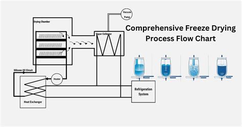 Freeze Drying Process Steps