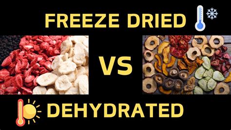 Freeze Drying Pros And Cons