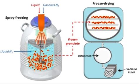 Freeze Drying Water Samples