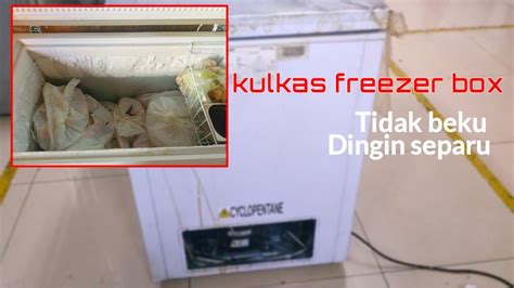 Mengapa Freezer Box Tidak Bebaskan?