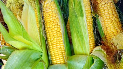 Freezer Burn Corn