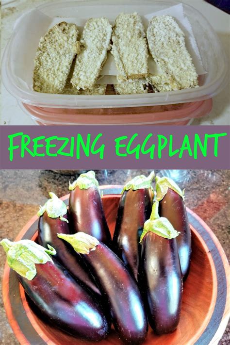 freezing eggplant