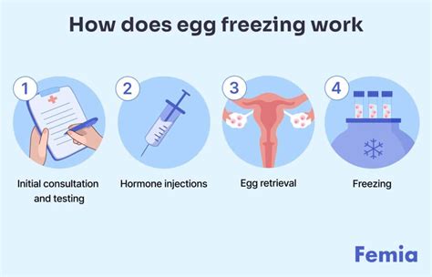 Freezing Your Eggs