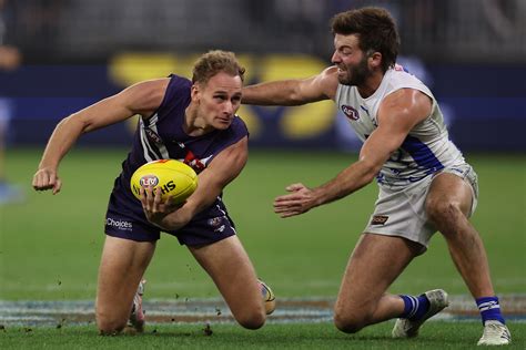 fremantle dockers v north melbourne