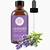french lavender essential oil