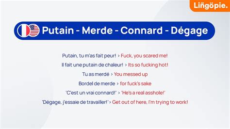 French Bad Words Explained