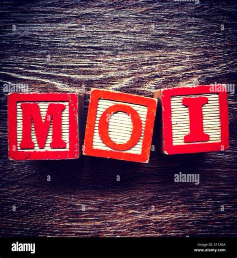 french word moi meaning