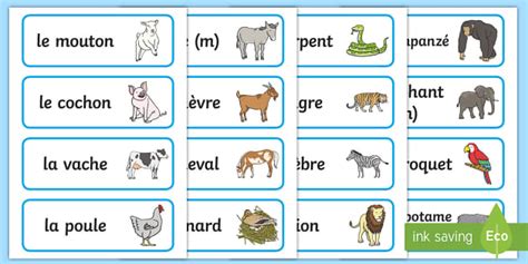 5 French Animal Words