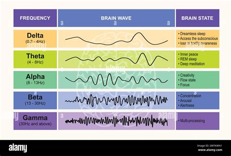 Frequency And The Brain