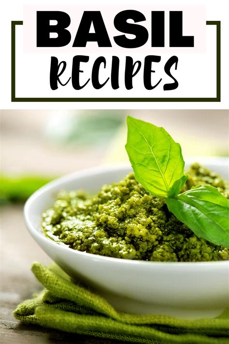fresh basil recipe