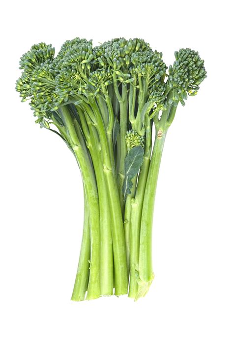 Fresh Broccoli Bunch