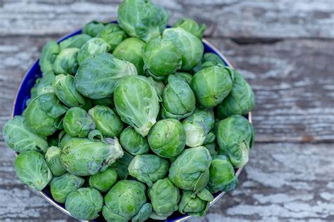fresh brussels sprouts