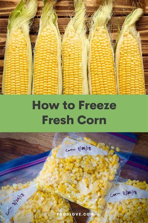 fresh corn freezing