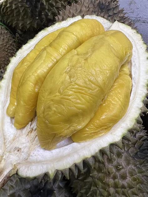 fresh durian