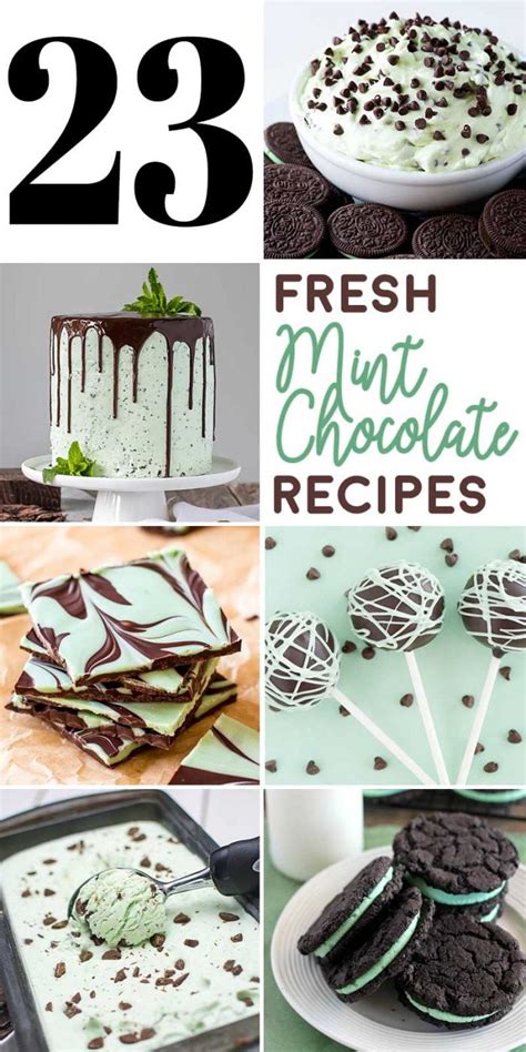 fresh mint chocolate recipes