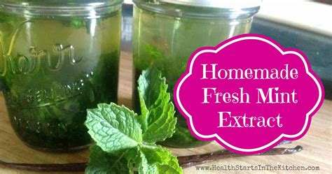 Fresh Mint Extract