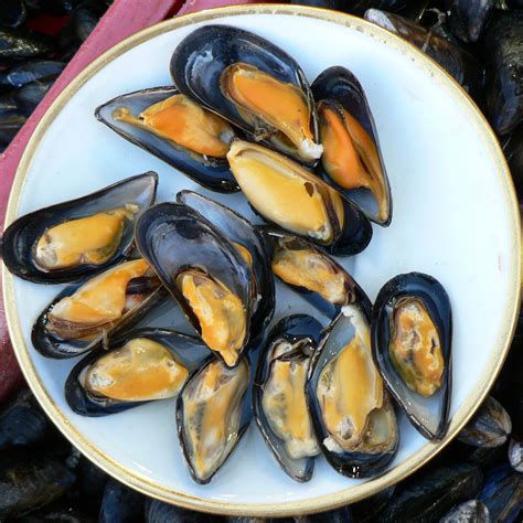Fresh Mussels Temperature