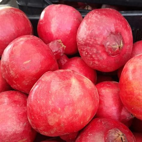 fresh pomegranates