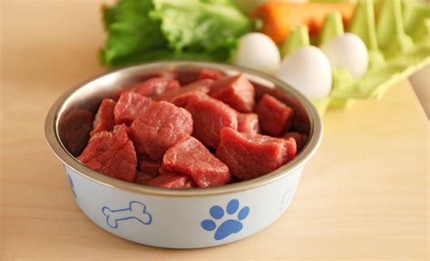 fresh raw meat for dogs