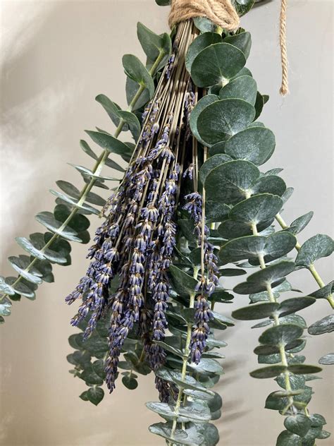 Fresh Shower Eucalyptus Bundle