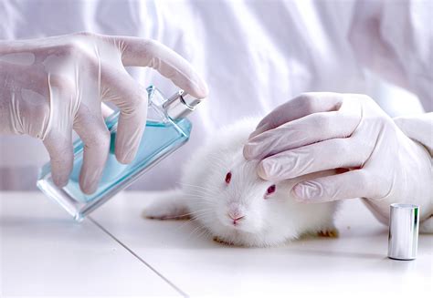 fresh skincare animal testing
