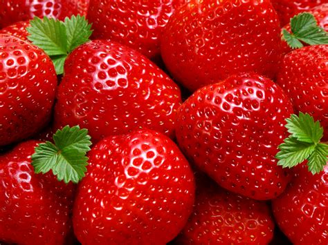 Strawberry segar
