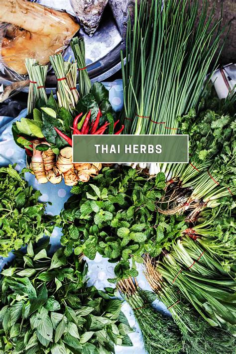 Fresh Thai Herbs