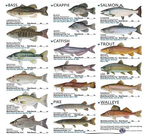 fresh water fish species