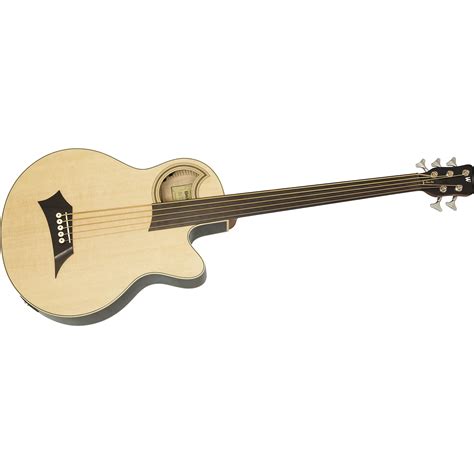 Fretless Acoustic Bass 5 String