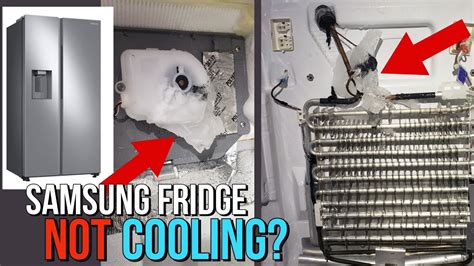 Fridge Bottom Not Cooling
