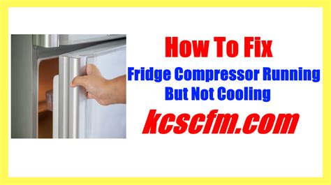 Fridge Not Cooling Compressor Not Running