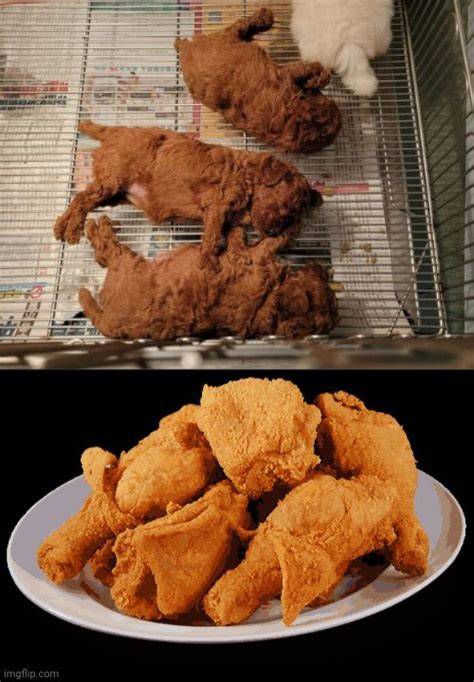 FriedChicken gmx0 BaptistMemes BaptistMemesClassic Fried chicken